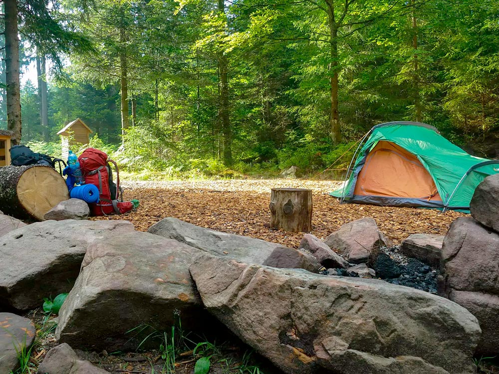 Das Bild zeigt ein Trekking-Camp im Schwarzwald. Im Vordergrund befinden sich große Felsen, die den Rand einer Feuerstelle bilden. Dahinter steht ein aufgeschlagenes grünes Zelt auf einem mit Laub bedeckten Boden, umgeben von dichtem Wald. Ein Stapel von Ausrüstung, darunter Rucksäcke und eine Isomatte, liegt neben einem Baumstumpf, der als Sitzgelegenheit dient. In der linken Bildhälfte sind weitere Ausrüstungsgegenstände sowie ein kleiner Holzunterstand zu erkennen. Die gesamte Szenerie ist von hohen, grünen Bäumen umgeben, was eine ruhige und natürliche Atmosphäre vermittelt.