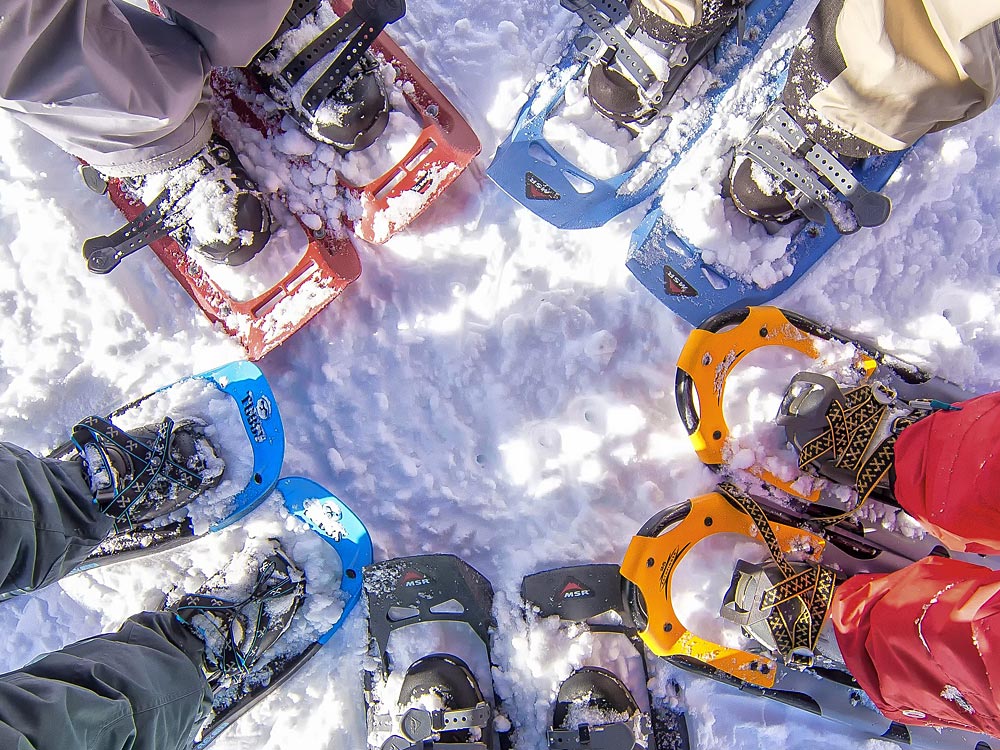 **Alternativtext:**   Das Bild zeigt eine Nahaufnahme von sechs Paar Schneeschuhen in verschiedenen Farben (Rot, Blau, Gelb und Schwarz), die im Kreis auf frischem Schnee stehen. Die Schneeschuhe sind mit Schnee bedeckt, und die Träger sind in Winterkleidung gekleidet. Die Perspektive betont die Vielfalt der Schneeschuhe und die gemeinsame Outdoor-Aktivität.